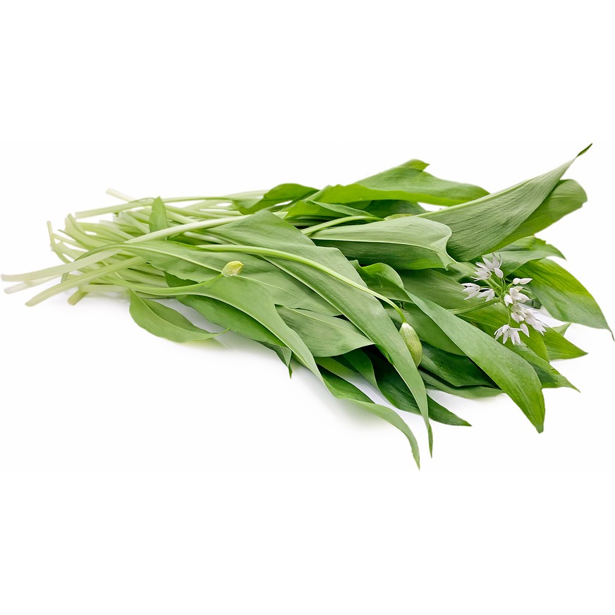 Wild Garlic