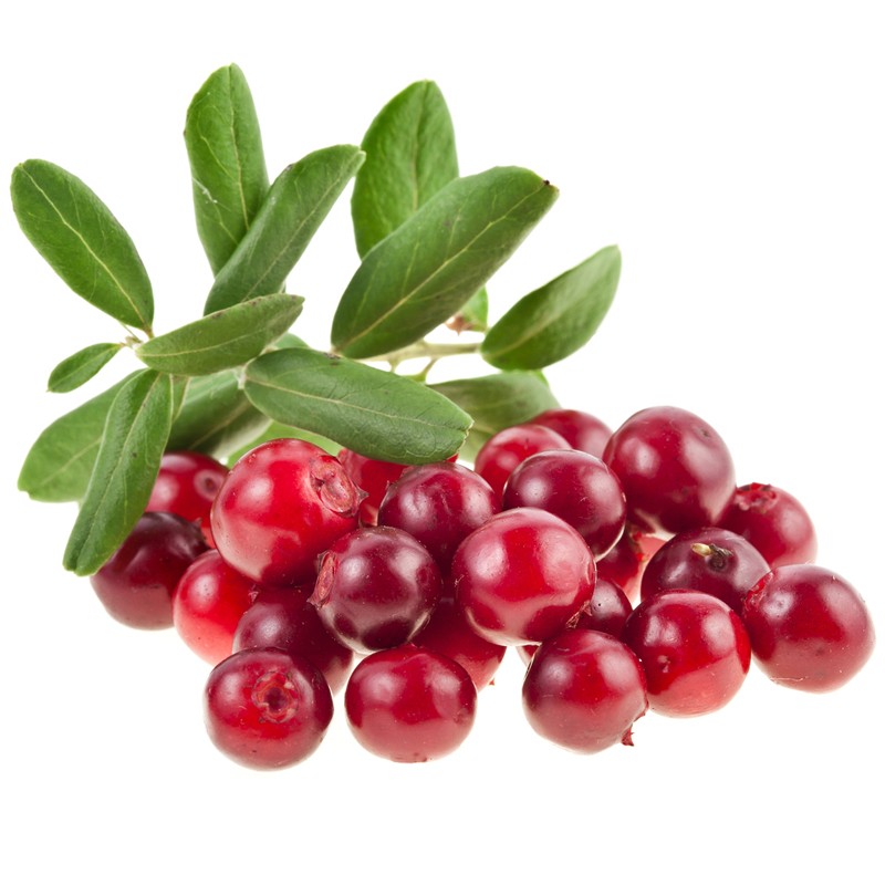 Cranberry