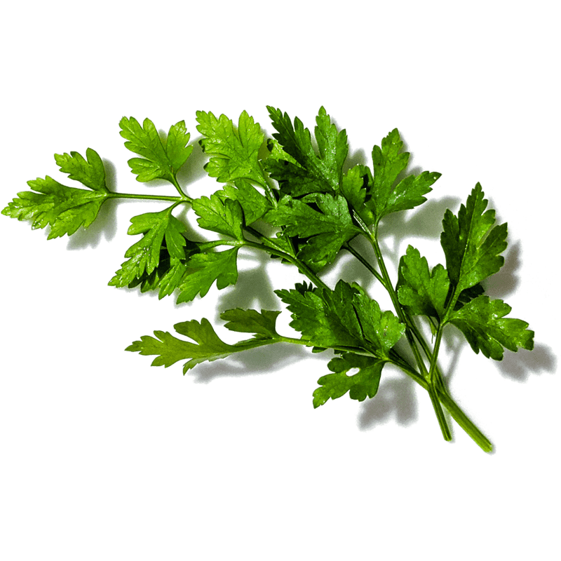 Parsley