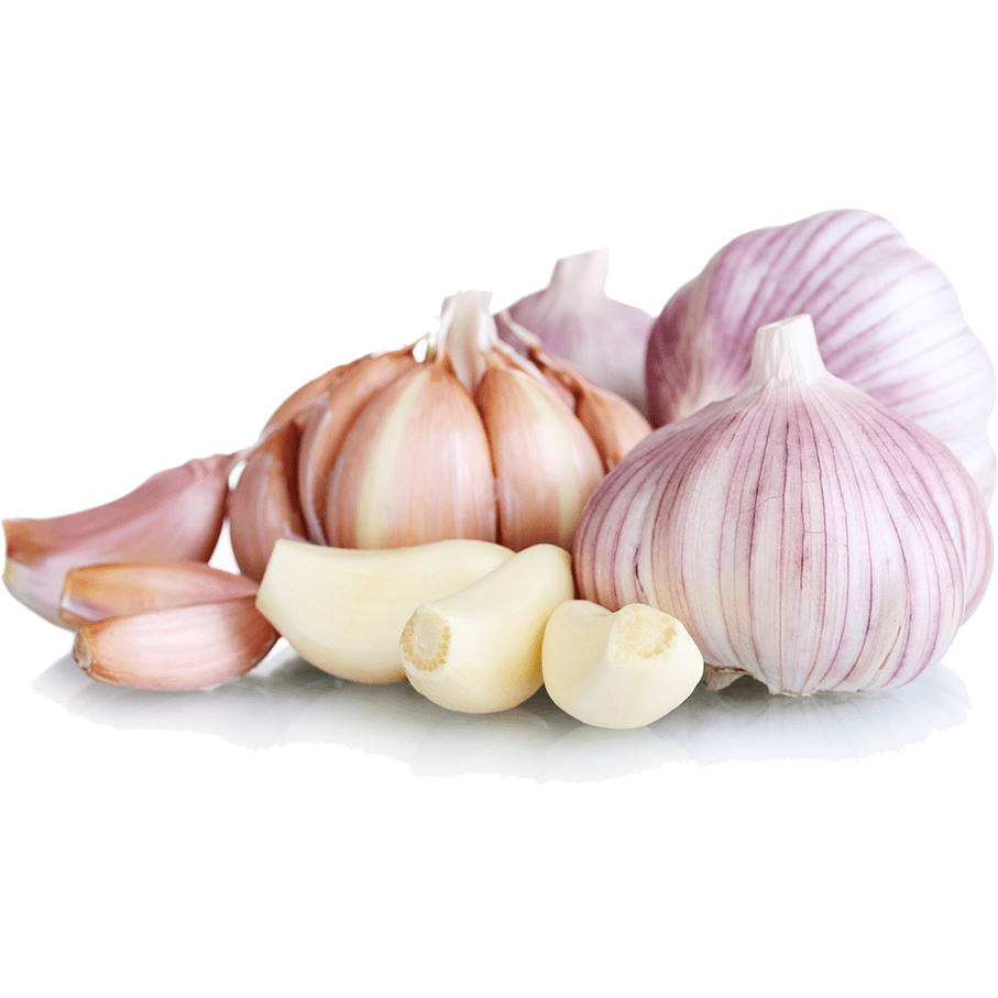 Garlic