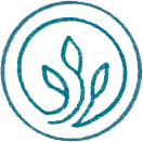 Icon 11