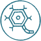 Icon 2