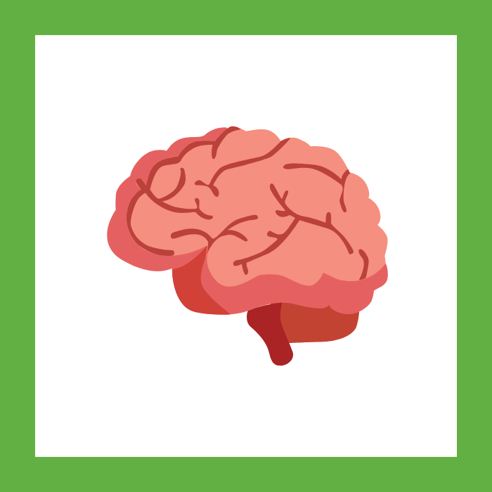 Nervous System Protection