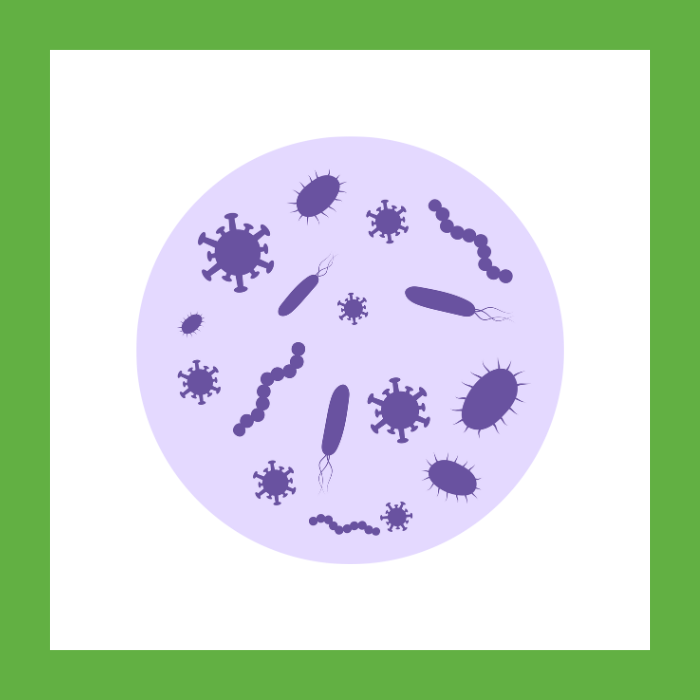 Parasitic Infections