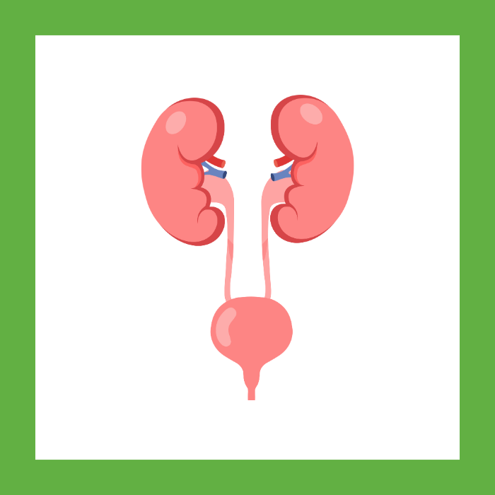 Urinary Infections